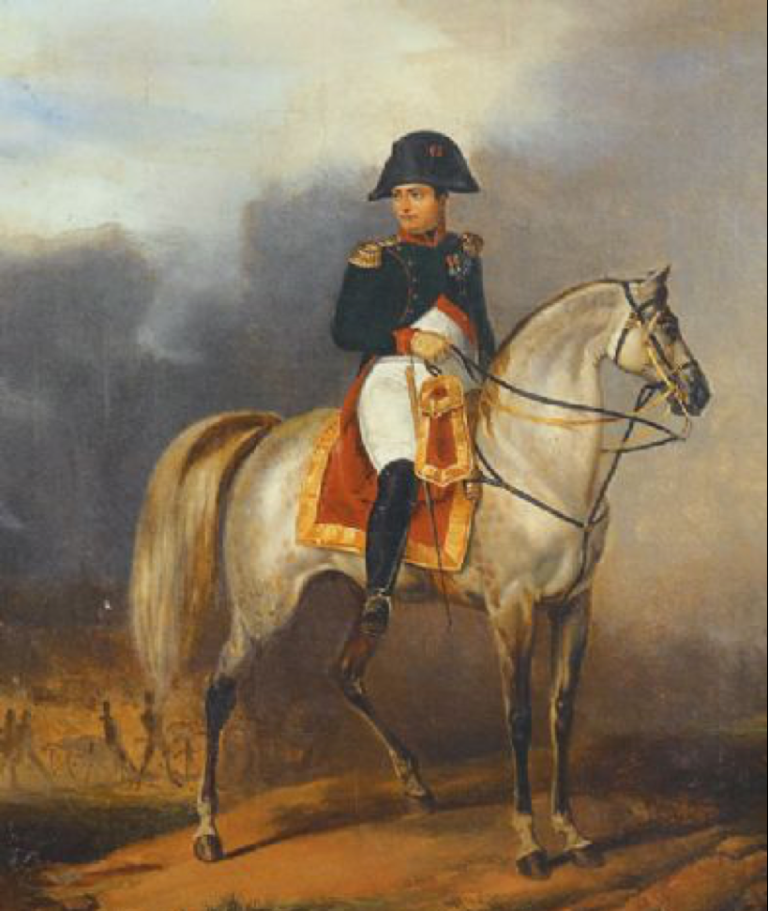 Come Si Chiamava Il Cavallo Di Napoleone