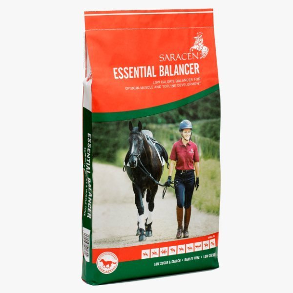 essential balancer harrison horse care cover